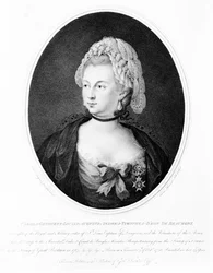 Portrait of Chevalier d